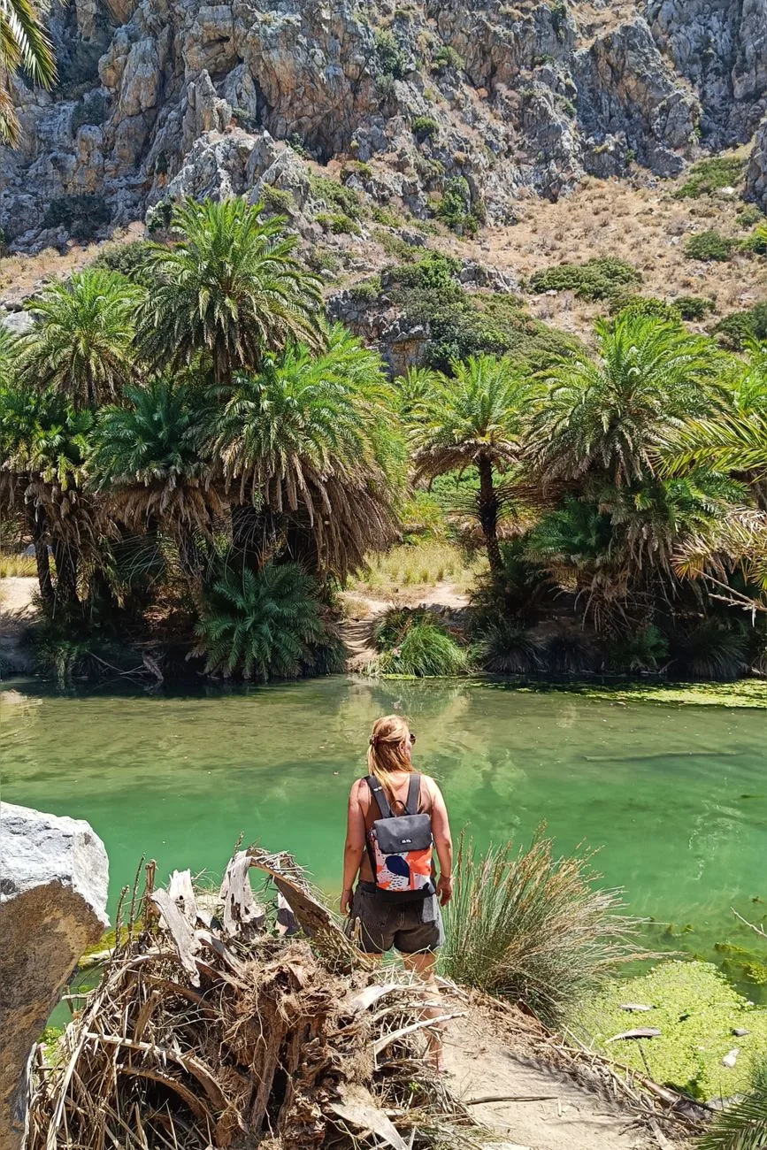 La rivière d'eau douce de Preveli bordée de palmiers, au pied de la gorge, en Crète