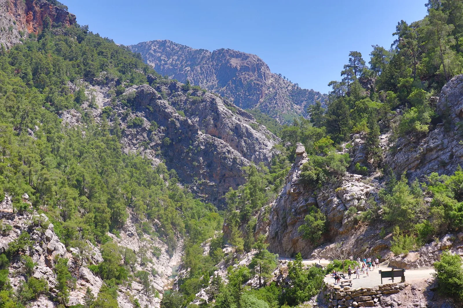 Le sentier des gorges de Samaria serpentant entre les parois et la forêt de pins, en Crète